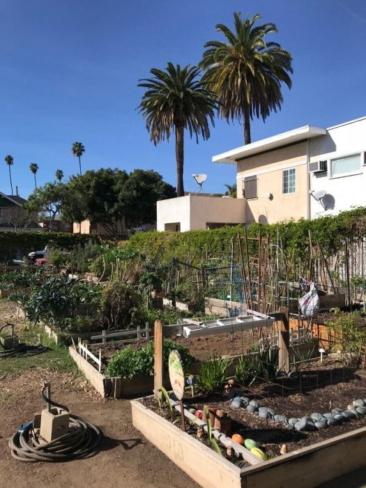 community garden